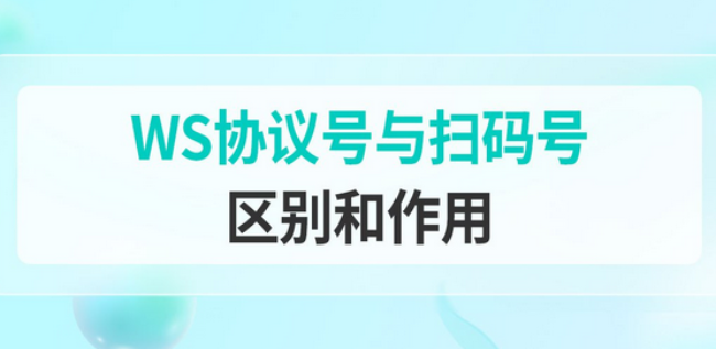 WhatsApp协议号与扫码号区别和作用